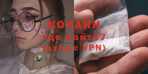 дживик Абаза
