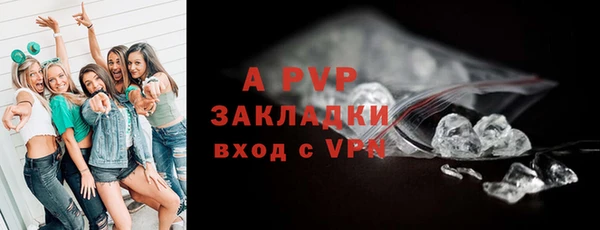 шишки Михайловск