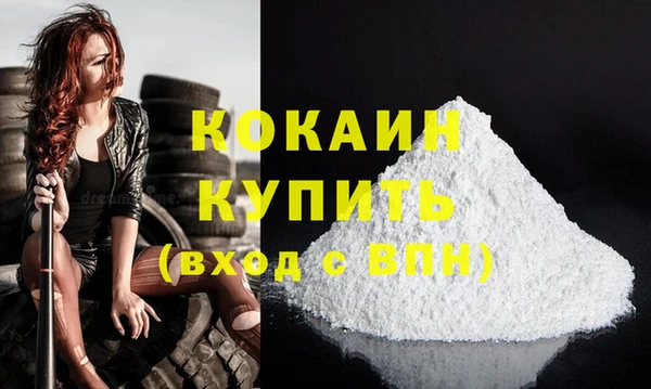 дживик Абаза
