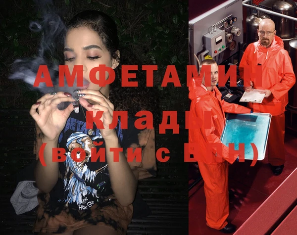 дживик Абаза