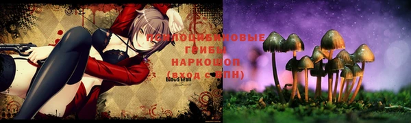 дживик Абаза