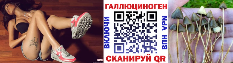 блэк спрут онион  Черногорск  Галлюциногенные грибы MAGIC MUSHROOMS 
