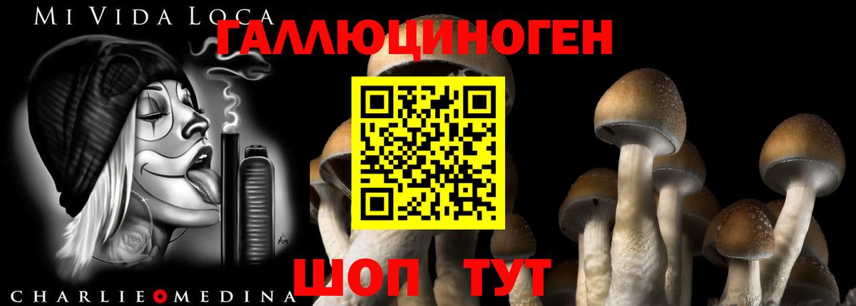 Галлюциногенные грибы Magic Shrooms Черногорск
