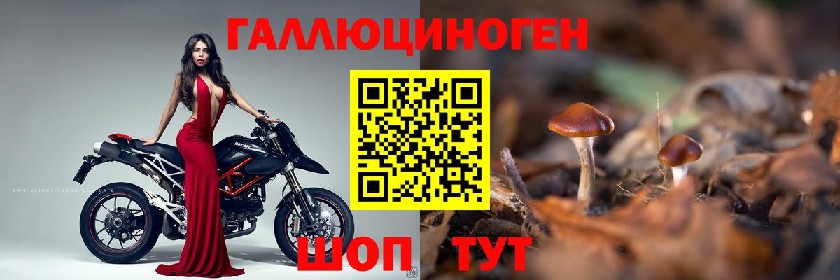 Псилоцибиновые грибы Psilocybine cubensis  Вход с VPN  Черногорск 